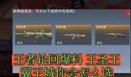 手游王者轮回最新爆料,神秘新英雄曝光，游戏格局或将再掀风云